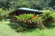 rose cottage