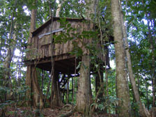 chataniere tree house