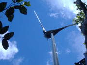 Forest Retreat Wind Turbine